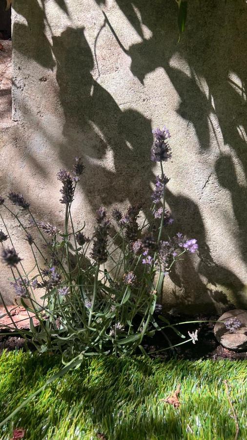 Garden Suite Bolzano Kültér fotó
