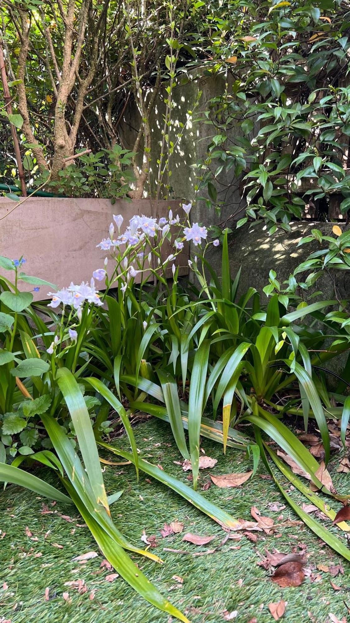 Garden Suite Bolzano Kültér fotó