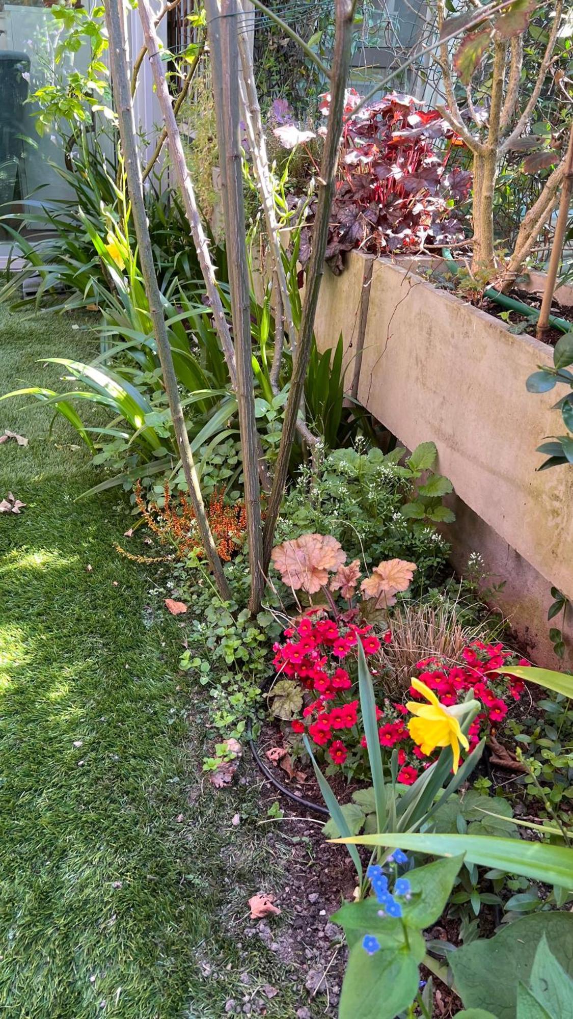 Garden Suite Bolzano Kültér fotó